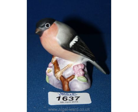 A Royal Worcester matt finish Bullfinch.