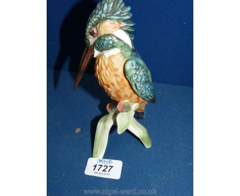 A Goebel Kingfisher