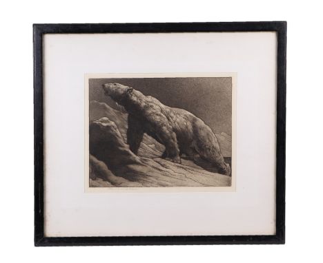 Herbert Dicksee (1862-1942) - Study of a Polar Bear - etching, signed in pencil to the margin, framed & glazed, 29 by 22cms.