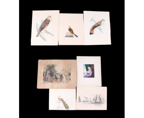 A collection of watercolour paintings and pencil drawings to include portrait, landscape and studies of birds, the largest 21