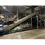 Vecoplan incline belt conveyor