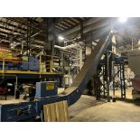 2015 chain paddle incline conveyor