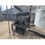 TutHill rotary lobe blower