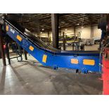 MACHINEX incline conveyor