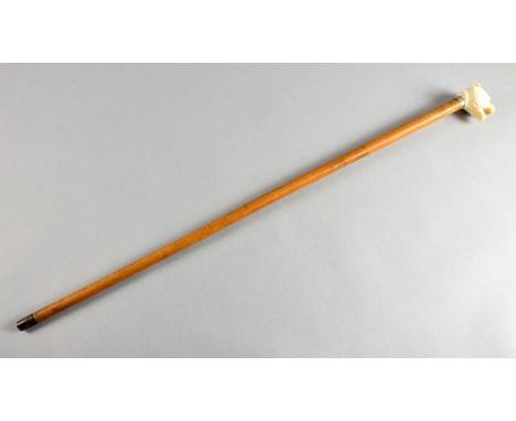 19th century fruitwood walking stick with carved ivory finial in the form of a dogs head, 82cm  PLEASE NOTE: THIS ITEM CONTAI