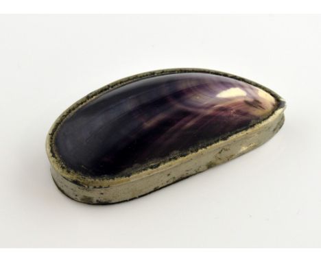 19th C snuff box, with polished mussel shell, and silver plated mount, with hinged lid, engraved A.S.B,measuring approximatel