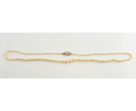 Natural pearls single row necklace, graduated cream pearls measuring 2 to 5.4mm in diameter, strung with knots, measuring app