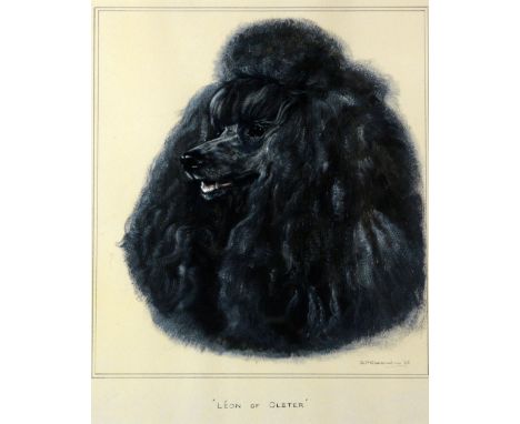 Bridget Olerenshaw. (British, d. 1989). Portrait of a Black Poodle ‘Leon of Olster’. Goauche. Signed and dated 1963, .    