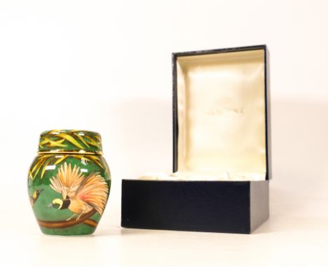 Moorcroft enamel Raggiana Bird of Paradise ginger jar by Faye Williams , Limited edition 9/50. Boxed with certificate. Height