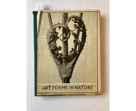 BLOSSFELDT (Professor Karl) Art Forms in Nature, Examples from the Plant World, Photographed direct from Nature, 1st English 