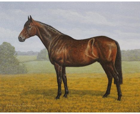 John Brian Evanson (20th century British), Oil on canvas, Study of a bay hunter in a field, 39cm x 50cm, Framed, with a penci