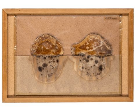Nachlass Rudolf Rieser - - Roth, Dieter. Kleine Landschaft. Schmelzkäse auf Sandpapier in Plastiktasche. Auf montiertem Schil