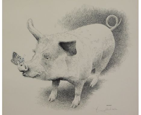 William Goldart (b.1936). Pig and butterfly, artist signed limited edition print, 330/750, 58cm x 38cm.