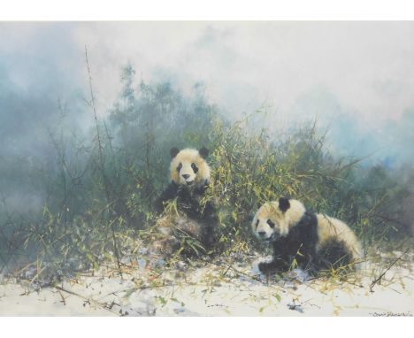David Shepherd (1931-2017). The Pandas of Wolong, artist signed limited edition print, 1352/1500, watermarked, 45cm x 62cm.