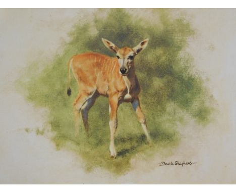 David Shepherd (1931-2017). Young Eland, artist signed print, F.H.H. watermark, 19cm x 26cm, Summertime, artist signed limite