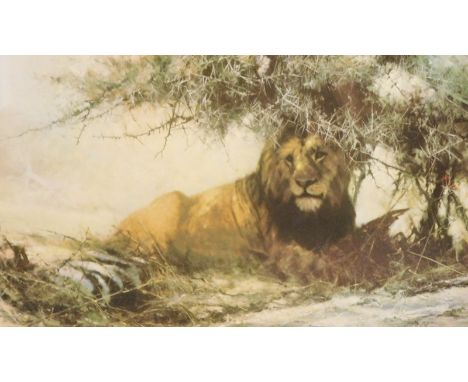 David Shepherd (1931-2017). Lion in the Undergrowth, artist signed print, 17cm x 29cm and Tawny Forest limited edition print 