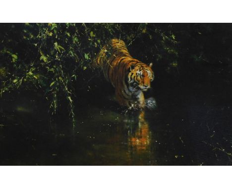 David Shepherd (1931-2017). Burning Bright, artist signed limited edition print, 1344/2000, 45cm x 75cm.