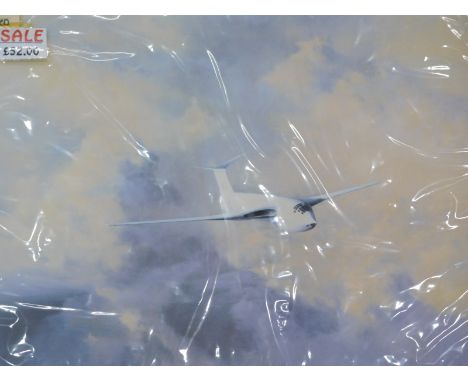 David Shepherd (1931-2017). Afternoon Flight, Victor, artist signed limited edition print, 117/850, 36cm x 55cm.