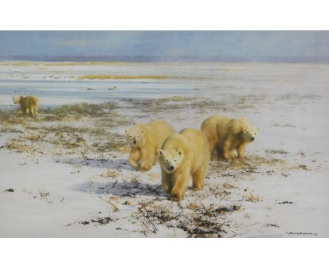 David Shepherd (1931-2017). Loan Wanderers of the Arctic, artist signed limited edition print, 157/1500, watermarked, 41cm x 