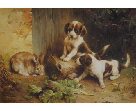 20thC School. Puppies and rabbit, print, unsigned, 40cm x 52cm.