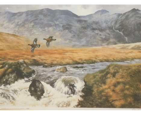 Derek Bown (b.1935). Highland grouse, artist signed limited edition print, 100/350, Wildlife Art Promotion, 37cm x 52cm.