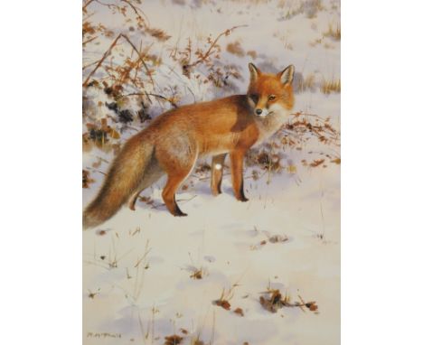 Rodger McPhail (1953). Fox, artist signed limited edition print, 28/225, 32cm x 24cm, and various others, red deer, pheasant,