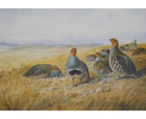 Richard David Kristupas (b.1954). Partridge, artist signed print, 29/250, 25cm x 37cm, and another Highland, limited edition 