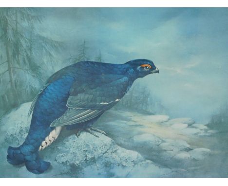 After Watson. Blackcock, print, 37cm x 55cm, and After Hanfsthengl, fox in winter landscape, print, 28cm x 37cm (2)