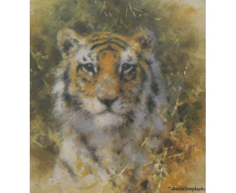 David Shepherd (1931-2017). Tiger, artist signed limited edition print, 291/1000, 15cm x 16cm, Ziggy, 946/1500 and two others