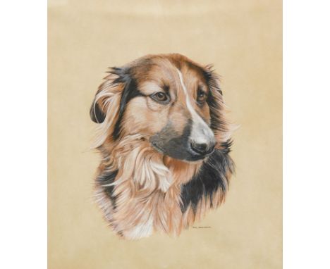 Paul Greensmith (fl.1978). Dog portrait, mixed media, signed, 29cm x 25cm, hand annotation verso. 