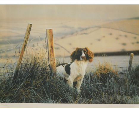 Steven Townsend (b.1955). Gun dog in a landscape, artist signed limited edition print, 281/660, Northern Editions blind stamp