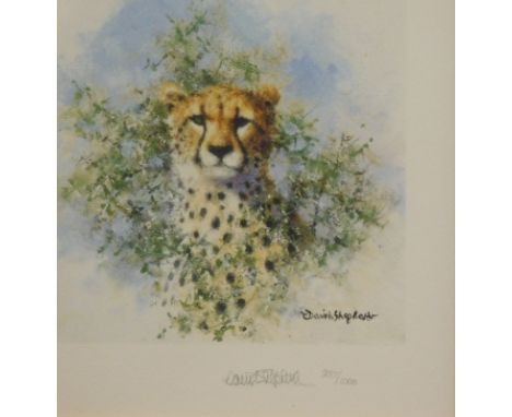 David Shepherd (1931-2017). Leopard, artist signed limited edition print, 287/1000, watermarked, 15cm x 15cm, Dormouse, 947/1