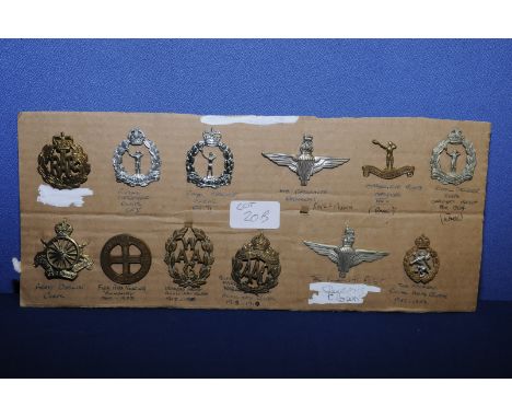 Mounted group of twelve regimental cap badges including RAF, Royal Observers Corp, Parachute Regiment, Observers Corp Officer