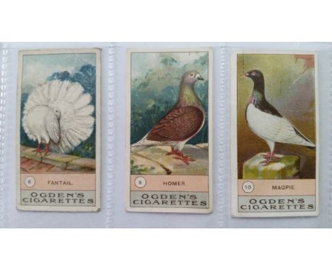 OGDENS, selection inc. complete (3) British Birds 1st &amp; 2nd, Foreign Birds; part sets &amp; odds, inc. Fowls Pigeons &amp