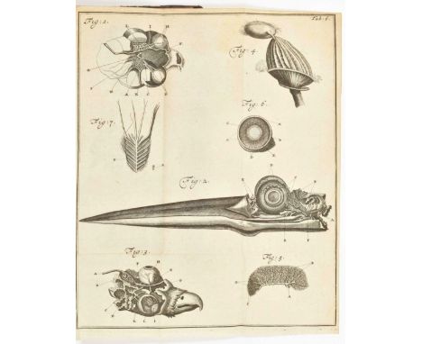 Editio nova, tam re, quam figuris a praecedenti in plurimis mutata. Zui accedit Epistola apologetica, in clarissimum virum D.