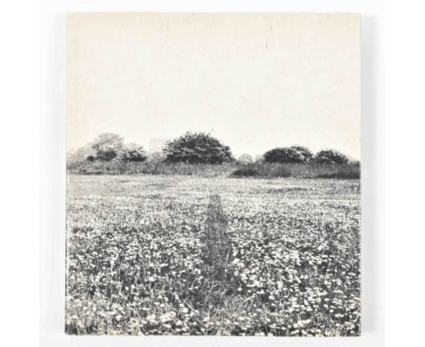 Original edition of the book edited by the Italian curator who invented the term 'Arte Povera'. Milan, Mazzotta Editore, 1969