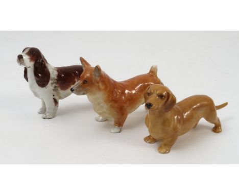 Three Royal Worcester models, Spaniel, model number 3033, Corgi, unmarked and Dachshund, unmarked