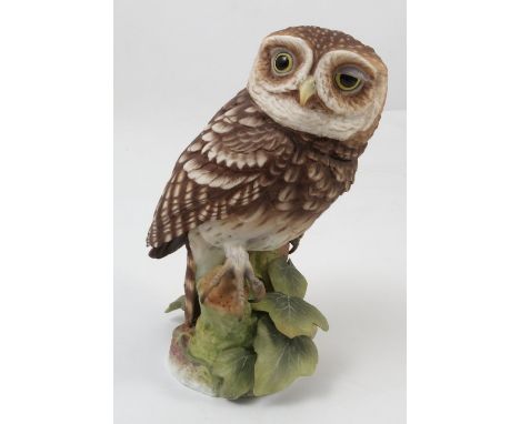 A Royal Worcester limited edition model, Little Owl, modelled by James Alder, with certificate