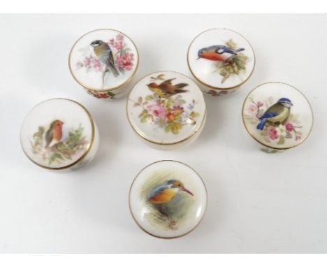 Five Royal Worcester circular covered boxes, hand painted with English birds on branches, one signed, together with a similar