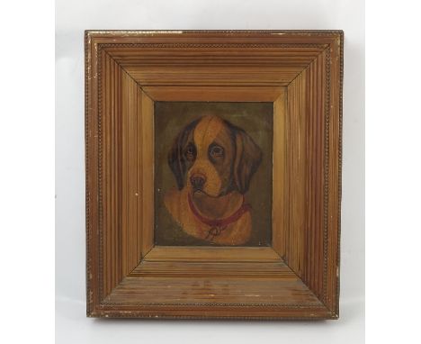 A 19th century school, oil on canvas, portrait of a hound, 12ins x 9.5ins