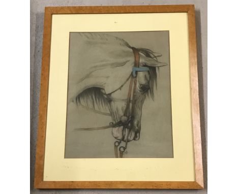 K. Page - Pencil sketch of a horses head, signed and dated 1895. Framed and glazed. Frame size approx. 62cm x 52cm.