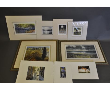 Frances Shearing, An Inland Sea, coloured print, 15/100, signed, numbered and titled along the bottom, 20 x 36cm, together wi
