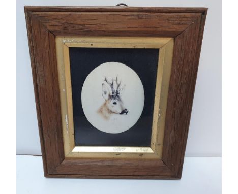 Victorian miniature oval watercolour portrait of a Stags head, initialled D.L, in fine wood frame, The miniature measures app