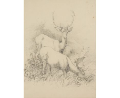 R M Dublin (19th century)Deer Grazingsigned, dated 1821, pencil drawing, 24cm x 17.5cm 