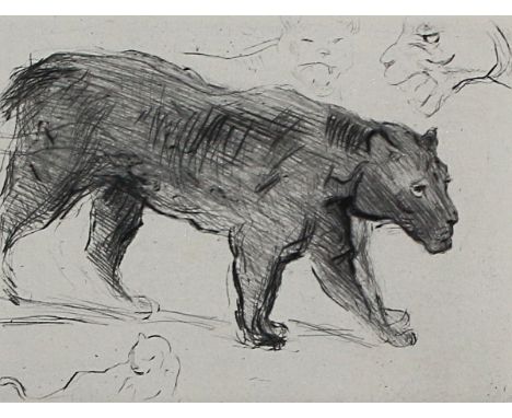 Slevogt, Max: (1868 Landshut - Leinsweiler 1932). Schwarzer Panther. Aus Zeitschrift für Bildende Kunst Bd. 49 Heft 9. Leipzi