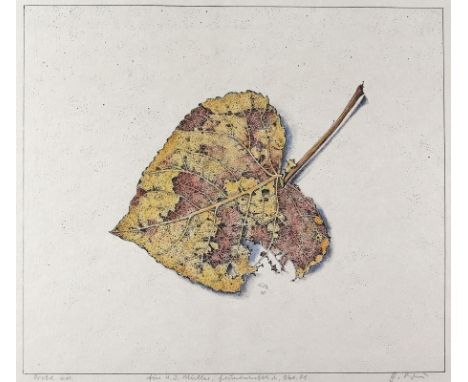 Blau, Günther: (1822 Elberfeld - Marburg 2007). O.T.(Blatt). Kolorierte Lithographie. 1981. 27 x 30,7 cm. I.d.Pl. dat. u. mon
