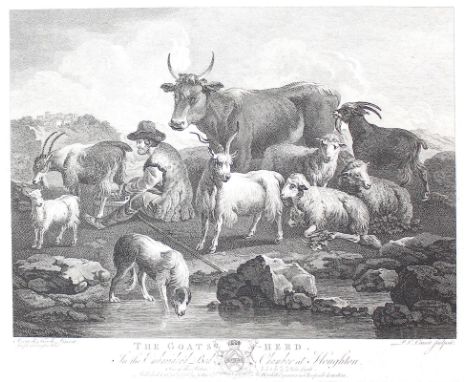 Roos, Philipp Peter: (1657 St. Goar - Rom 1706), nach. The Goats-Herd. Radierung. 30,2 x 37,8 cm. Rosa di Tivoli pinxit, Jose