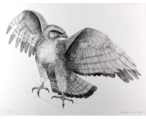 Schmid, Hans: (1903 Neunkirch - Riehen 2002). Adler. Lithographie. 1981. Sign. u. dat. - Ex. 41/100.   R