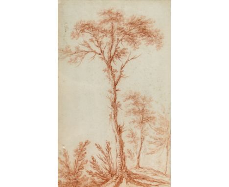 Anonym.: Zwei Rötelzeichnungen. Frankreich 18. Jh. Ca. 24 x 21 cm, gerahmt.  2 Landschaftsdarst. mit hohen kargen Bäumen. Ein