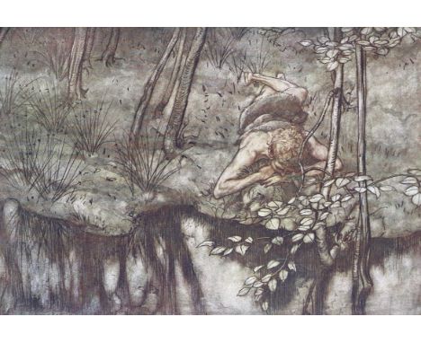 Wagner,R.: Der Ring des Nibelungen. 2 Bde. Ffm., Rütten &amp; Loening 1910-11. 4°. Mit 63 farb., auf Taf. mont. Illustr. v. A